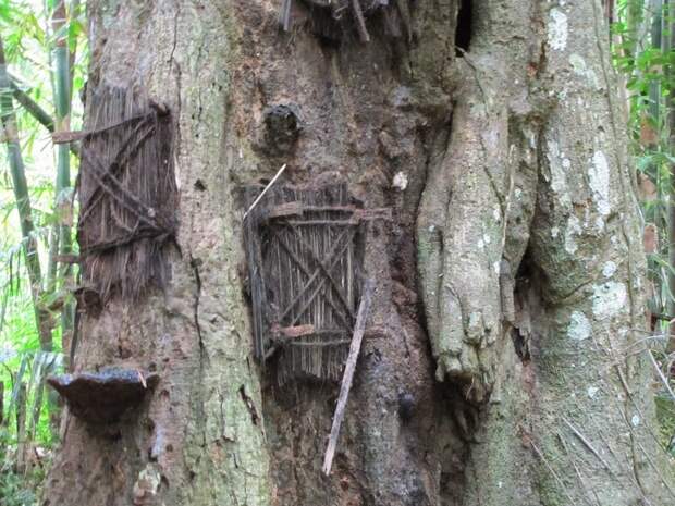 tana-toraja-burials-7[6]