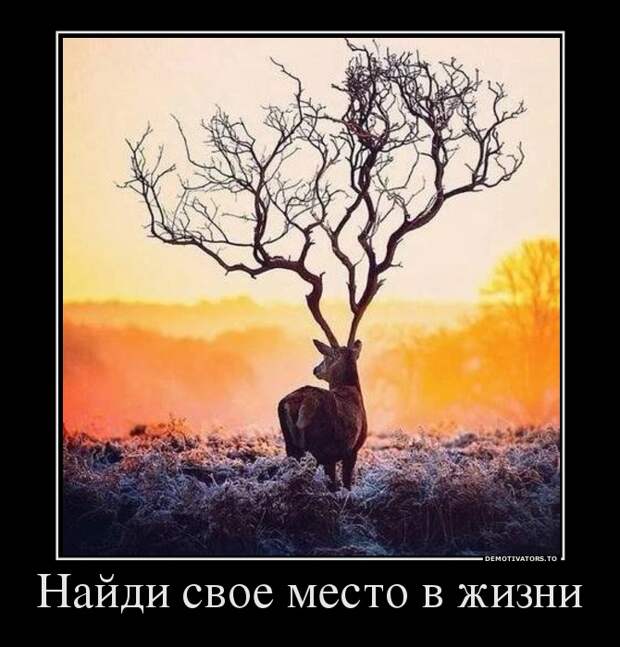 Демотиваторы  демотиваторы, прикол, смех, юмор