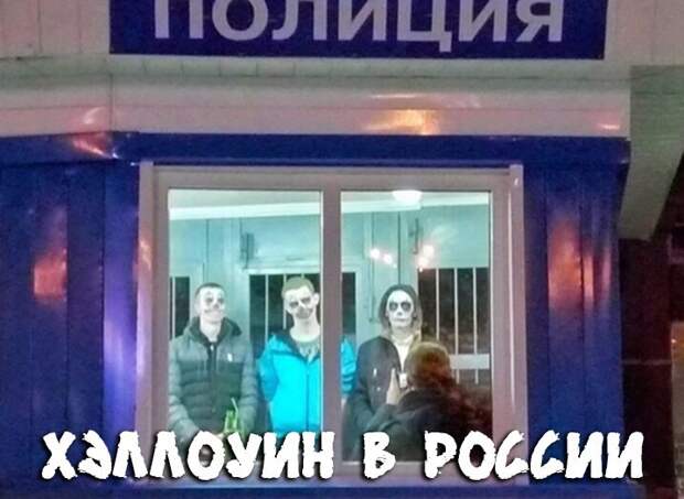 Прикольные и смешные картинки
