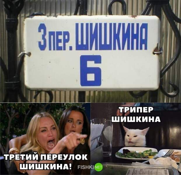 И снова всё опровергающий котик И снова всё опровергающий котик