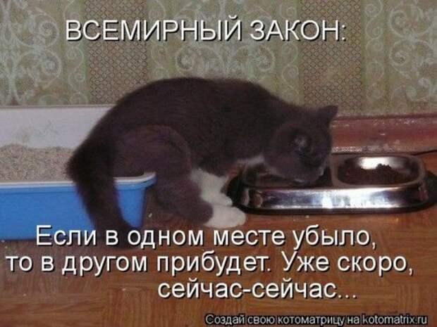 Лучшие котоматрицы недели (28 шт)
