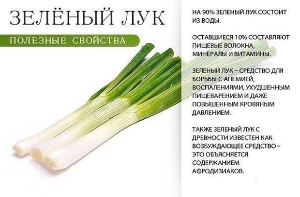 ПОЛЕЗНЫЕ СВОЙСТВА. Лайфхак, ПОЛЕЗНЫЕ СВОЙСТВА, факты