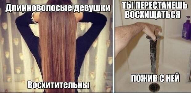 Смешные картинки с подписями катинки, прикол, юмор