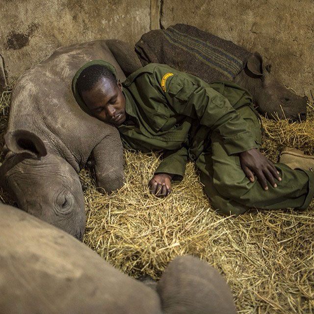 Лучшие фотографии от National Geographic
