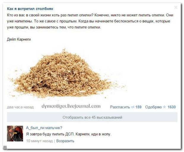 Словесные перлы из интернета 12