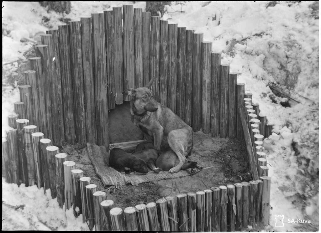 Любопытные и криповые исторические фотографии о жизни столетней давности