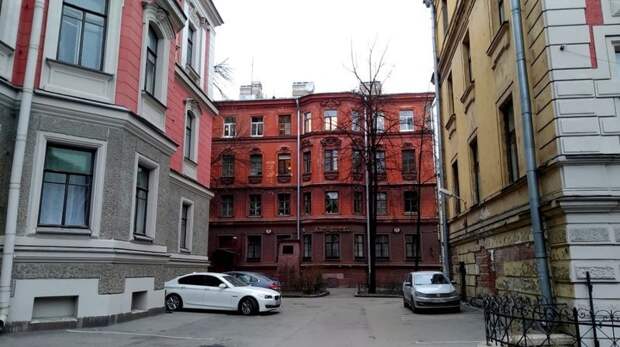 "Собачье сердце" пo-пeтepбypгcки. Памятник Шарику и Профессору