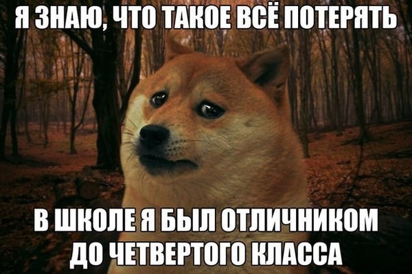 Смешные картинки с надписями прикол, юмор
