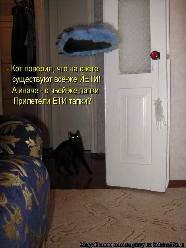 Котоматрица - - Кот поверил, что на свете существуют всё-же ЙЕТИ! А иначе - с чьей-ж
