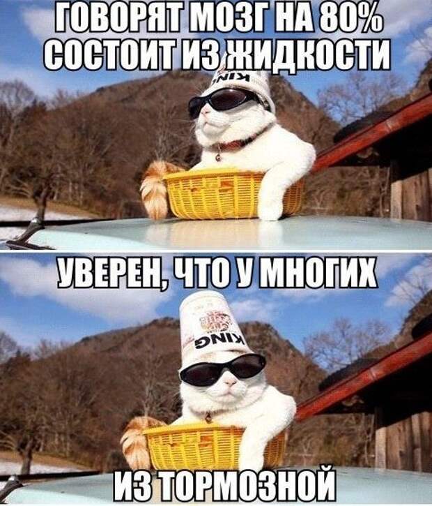 АВТОприкольные картинки (29 шт)
