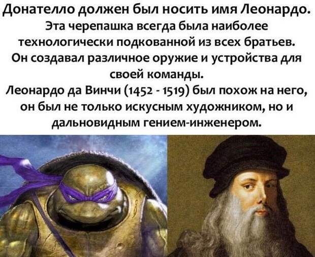 Черепашкам-ниндзя дали перепутанные имена Черепашкам-ниндзя дали перепутанные имена