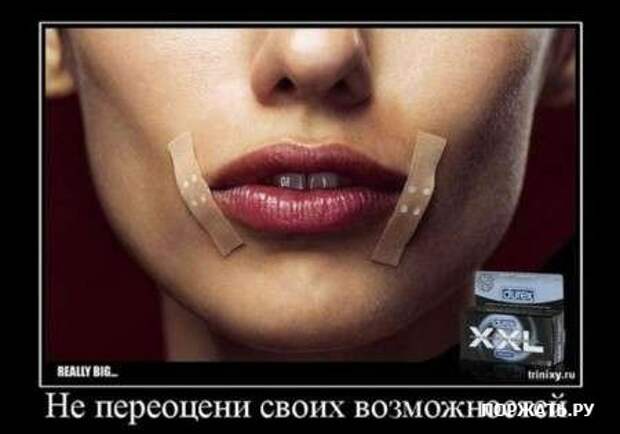 Демы свеженькие
