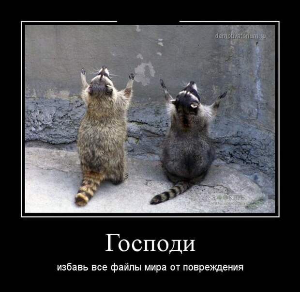 Демотиваторы  демотиваторы, прикол, смех, юмор