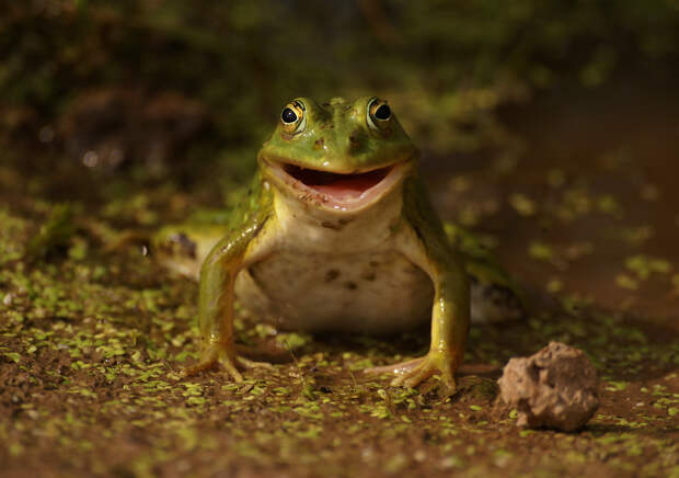 Фото: Ирина Фурашова