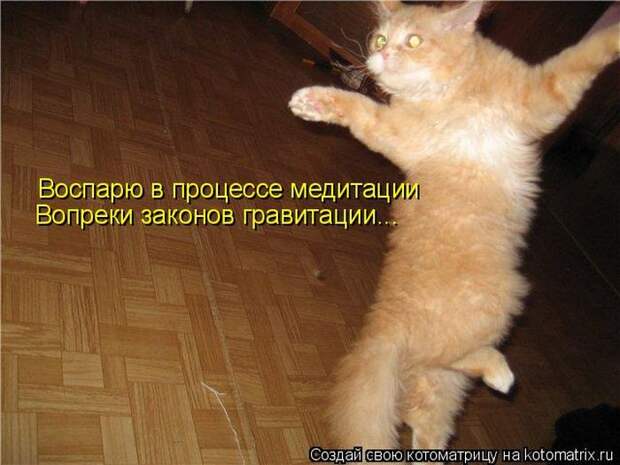 Мысли вслух :)