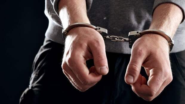 Украинцы и американец задержаны в Индии по делу о терроризме (ВИДЕО)