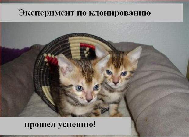 Мысли :) (50мыслей)