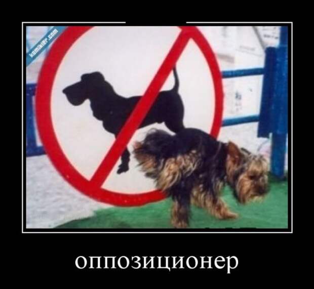 Демотиваторы (30 фото)
