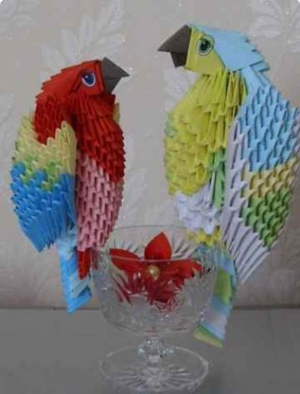 Попугай