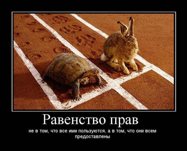 Сборник демотивационных приколов Сборник демотивационных приколов