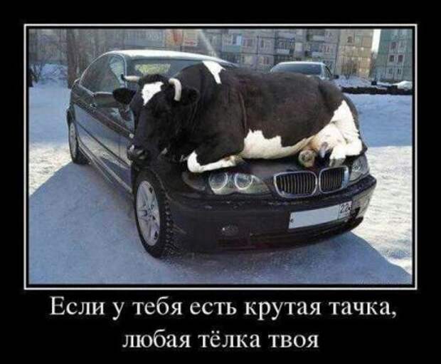 Дорожные фотоприколы!