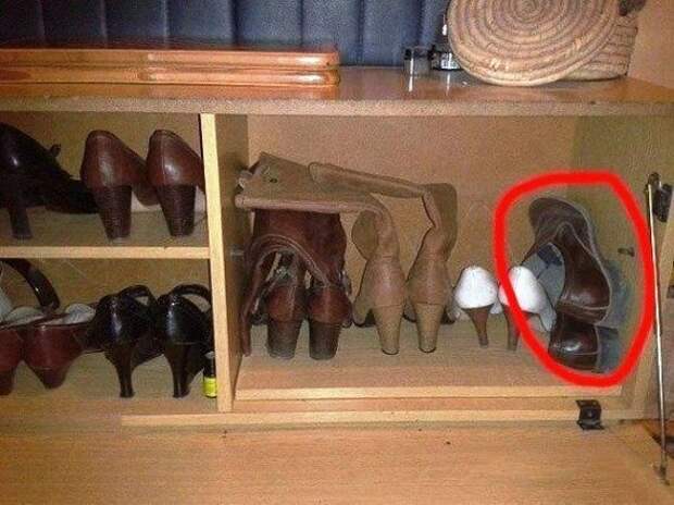 Приколы и позитив в фотках и картинках