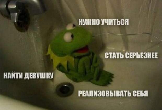 Прикольные картинки выходного дня (50 шт)