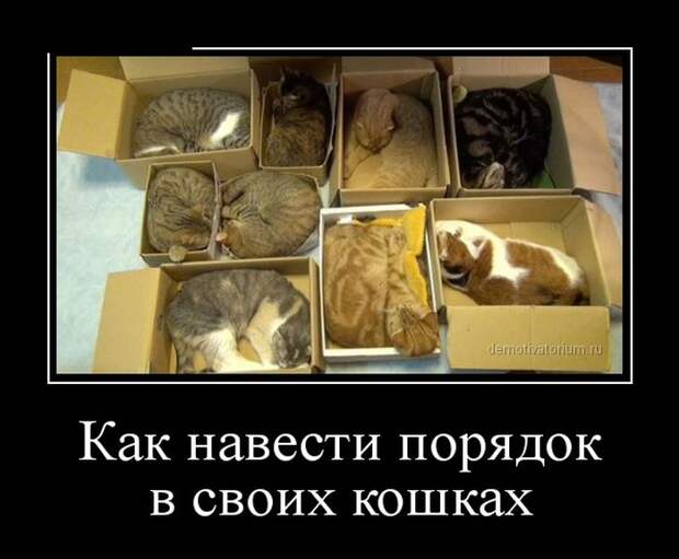 Демотиваторы (30 фото)