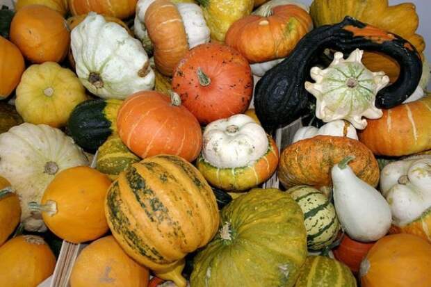 самые полезные продукты, польза продуктов