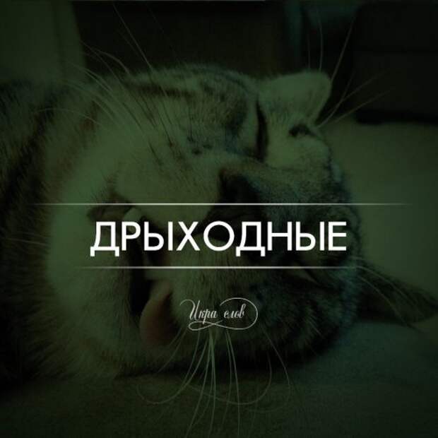 Игра слов (17 фото)