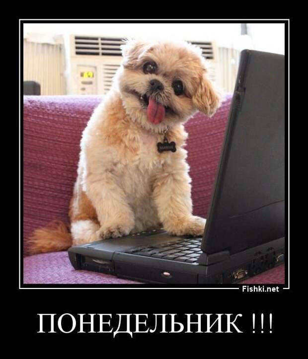 Демотиваторы смех, демотиваторы, прикол, юмор