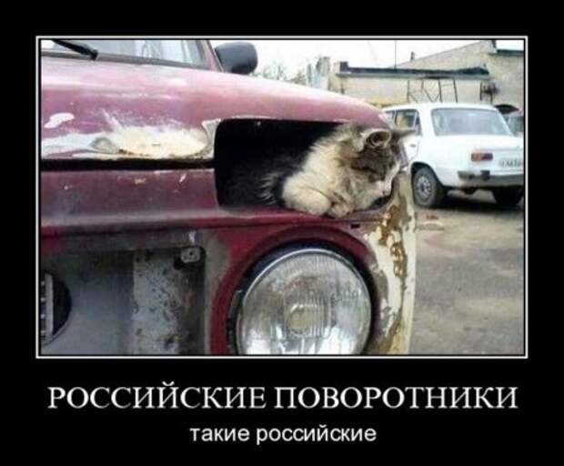 Множество прикольных демотиваторов на сайте.