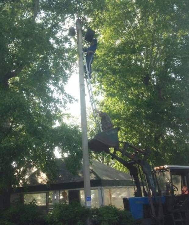 Прикольные картинки. Вечерний выпуск (54 фото)