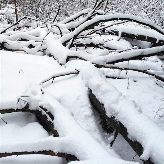 Just snow.#russia #voronezh Just snow.#russia #voronezh