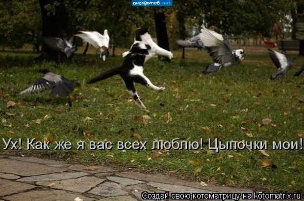 Давайте улыбаться вместе! :) (28улыбок)