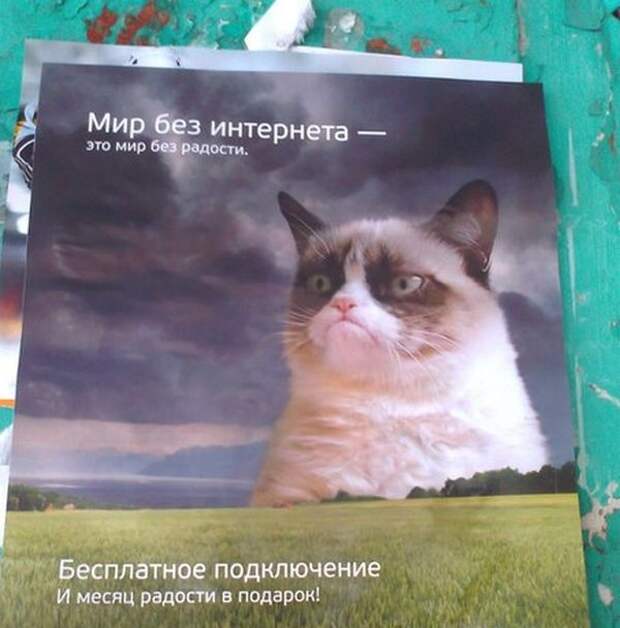 Смешные надписи и объявления  надписи, объявления, смешные