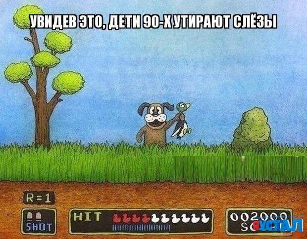 Смешные картинки с надписями прикол, юмор