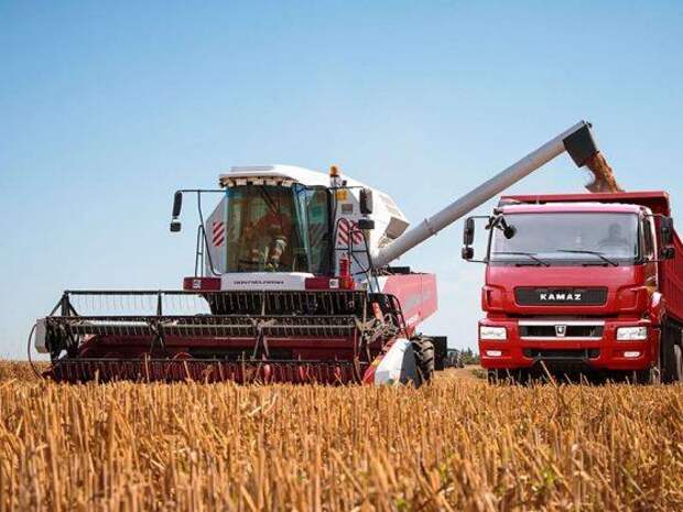 россия впервые стала нетто экспортёром сельхозпродукции