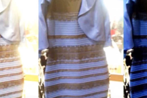 Автор вирусного фото «Какого цвета платье?» арестован за нападение на жену