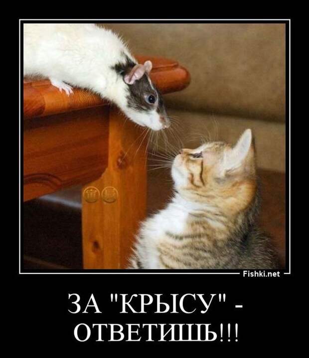 Демотиваторы демотиваторы, прикол, смех, юмор