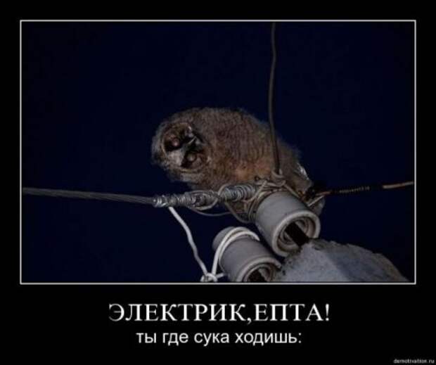 Демотиваторы смешные про нашу русскую реальность.