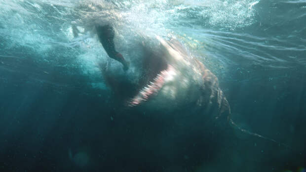 The Meg