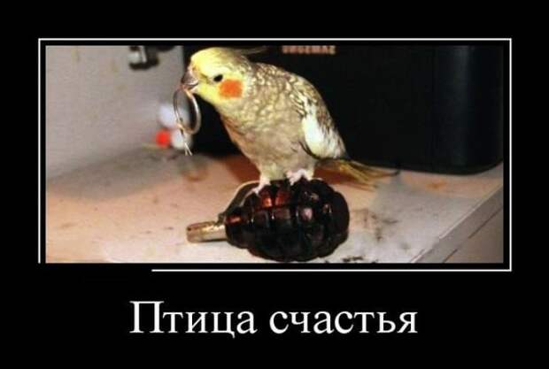 Демотиваторы (13.01.16)