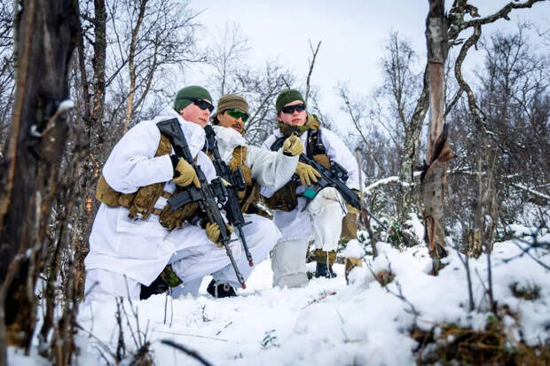 Десять норвежских военных потерялись на учениях по противодействию армии России