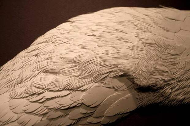 Художник изящно создает скульптуры животных из бумаги
