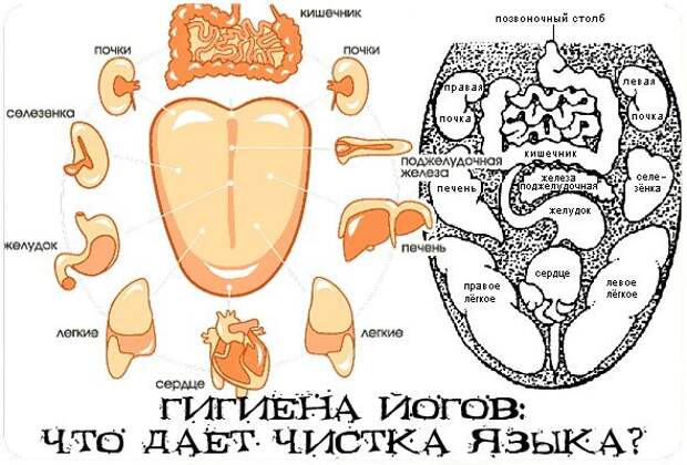1868538_NfNiHr6Zm0 (590x400, 77Kb)