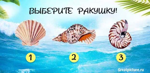 Выберите ракушку и получите жизненный совет! Все точно!1