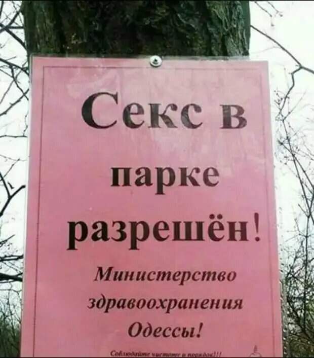Уважаемые друзья! Часто в различных источниках можно прочесть анекдоты, от которых порой не знаешь — смеяться или плакать.-2