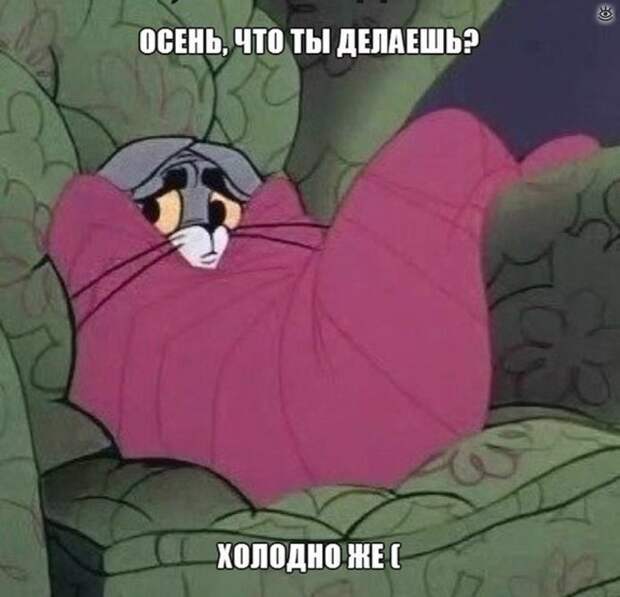 Самые разные курьёзы 30