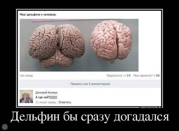Отпуск - каждое воскресенье! 8
